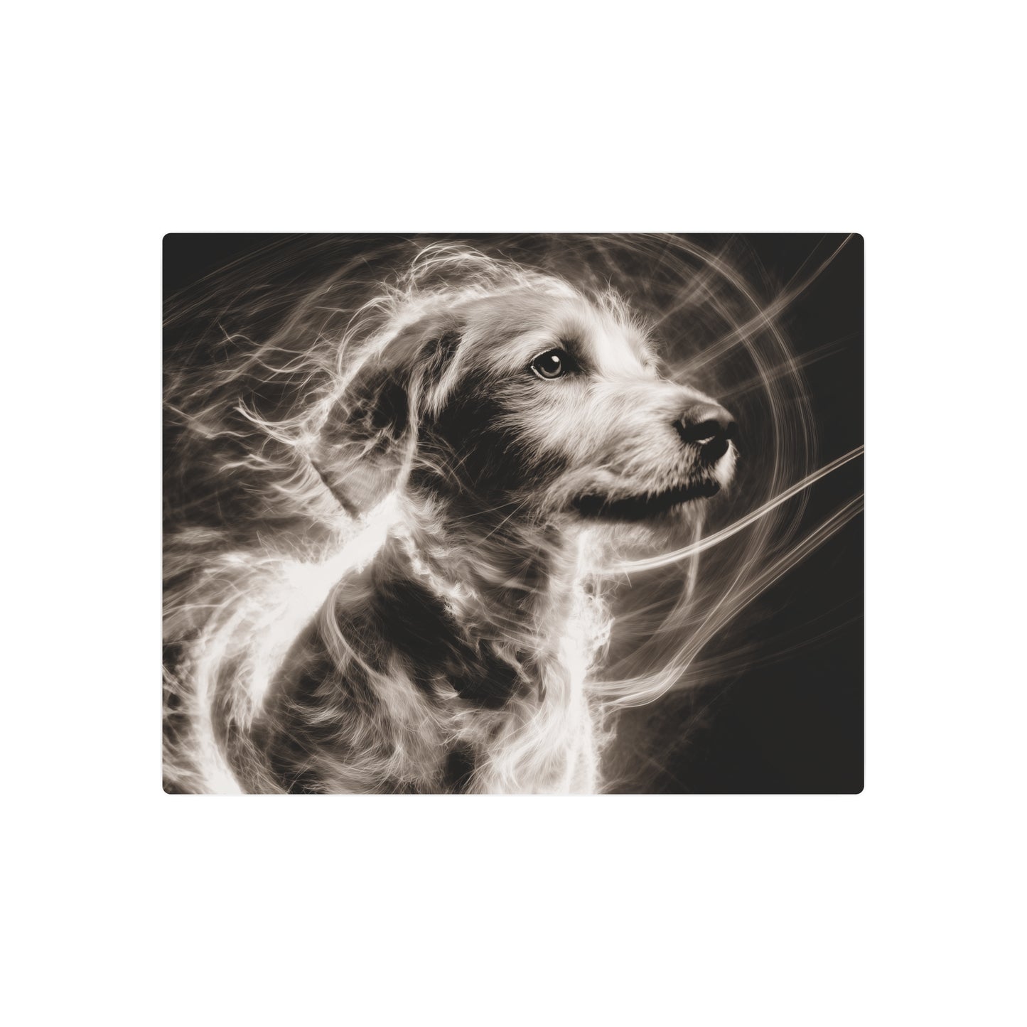 Abstract Metal Wall Art Print Inspired by Fujifilm Pro 400H Pet Theme - Metal Wall Art Print