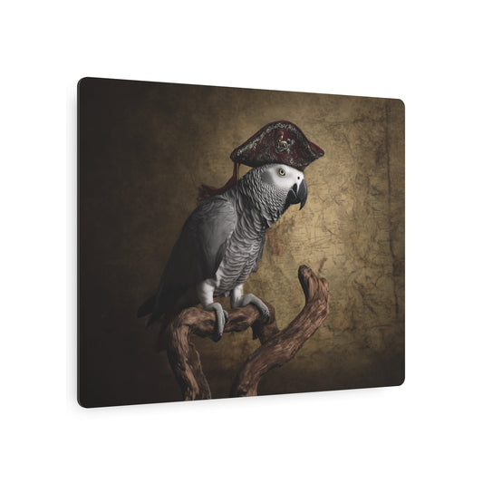 African Grey Parrot Metal Wall Art | Exotic Pirate Bird Perched on stick. Vintage Style - Metal Wall Art Print