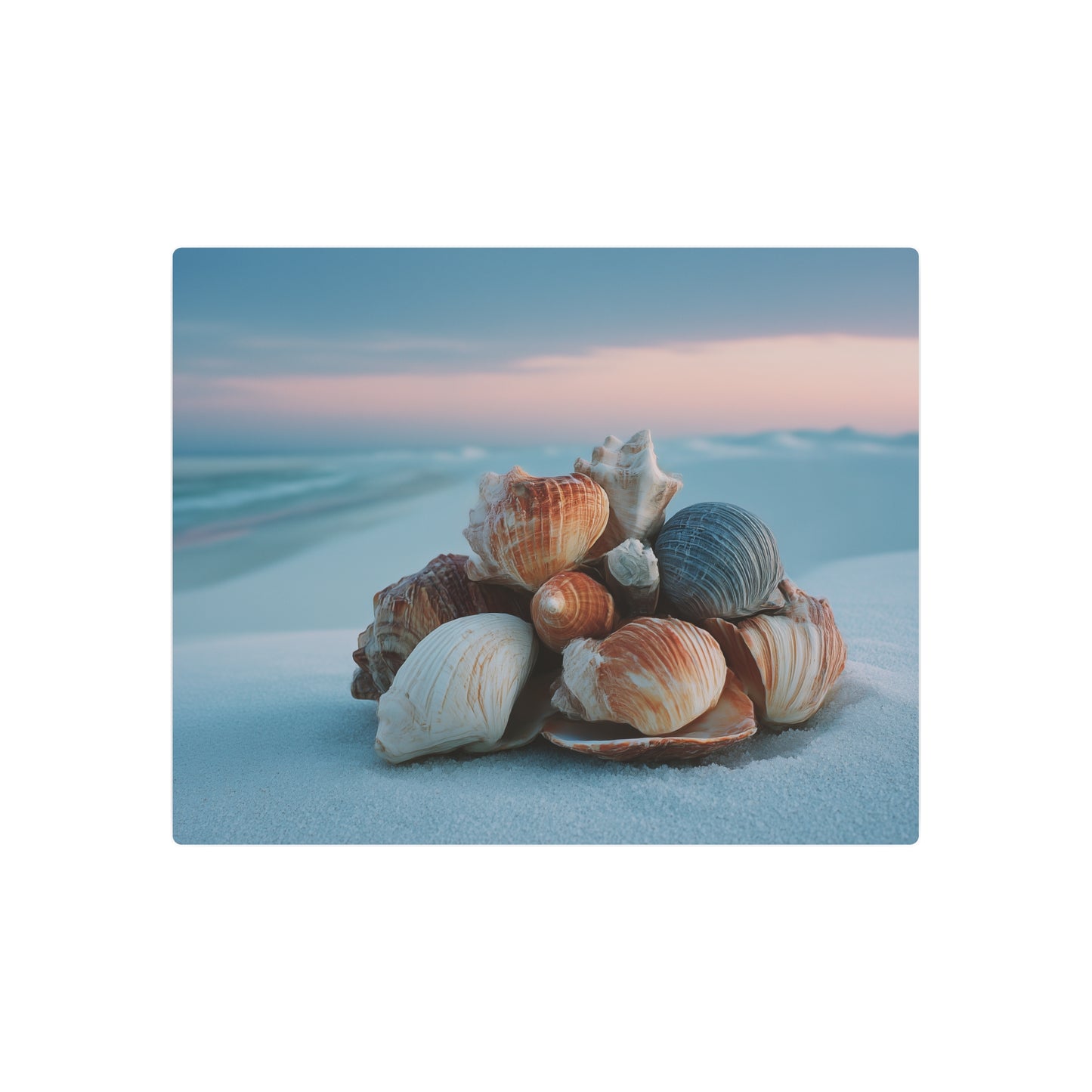 Minimalist Metal Wall Art - Seashell Cluster at Shore Print Sign - Metal Wall Art Print
