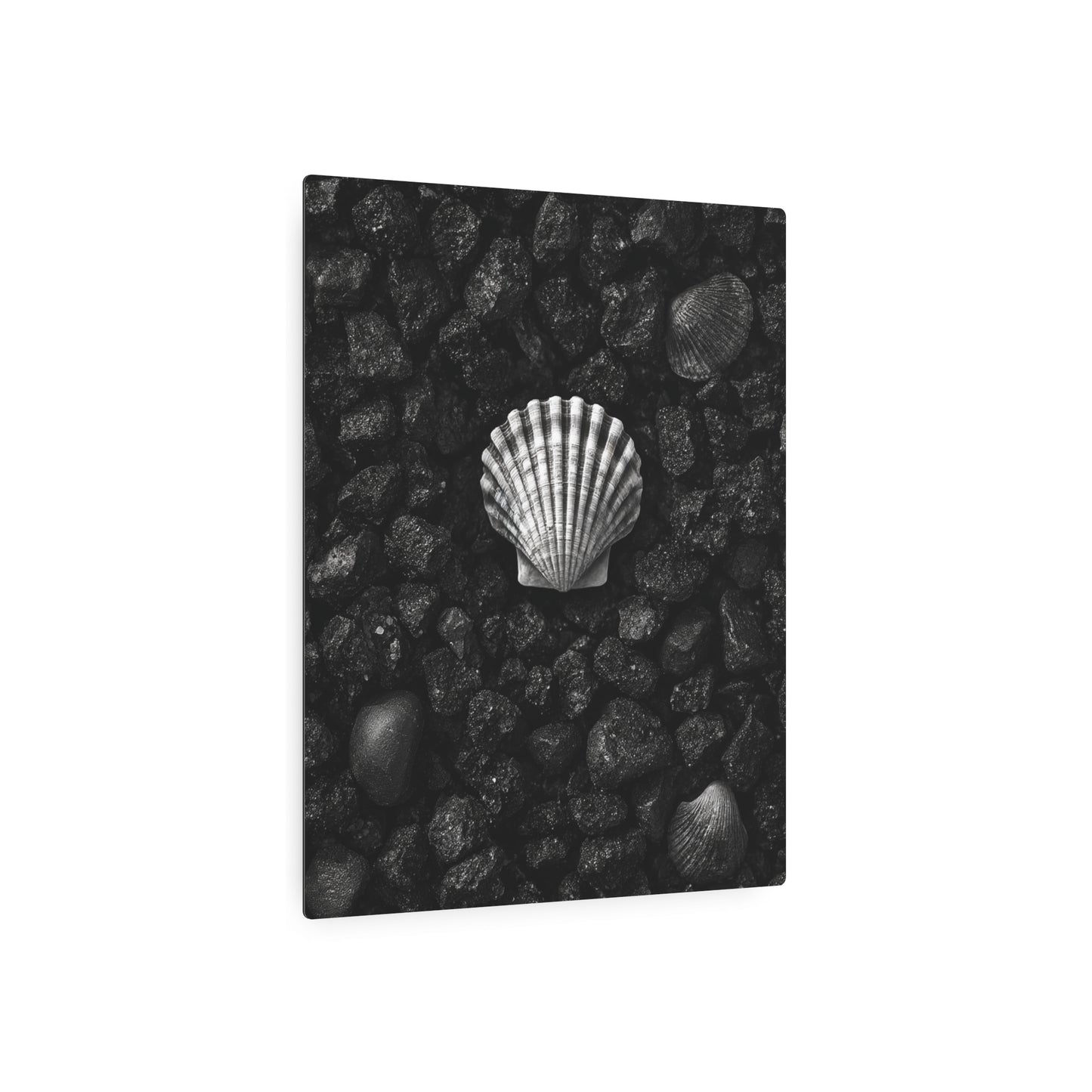 Black Metal Seashell Wall Art – Minimalistic Beach-Themed Decor