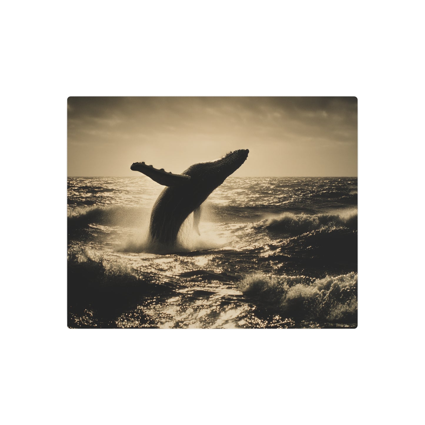 Humpback Whale Metal Wall Art - Nautical Home Decor for Sea Lovers - Metal Wall Art Print