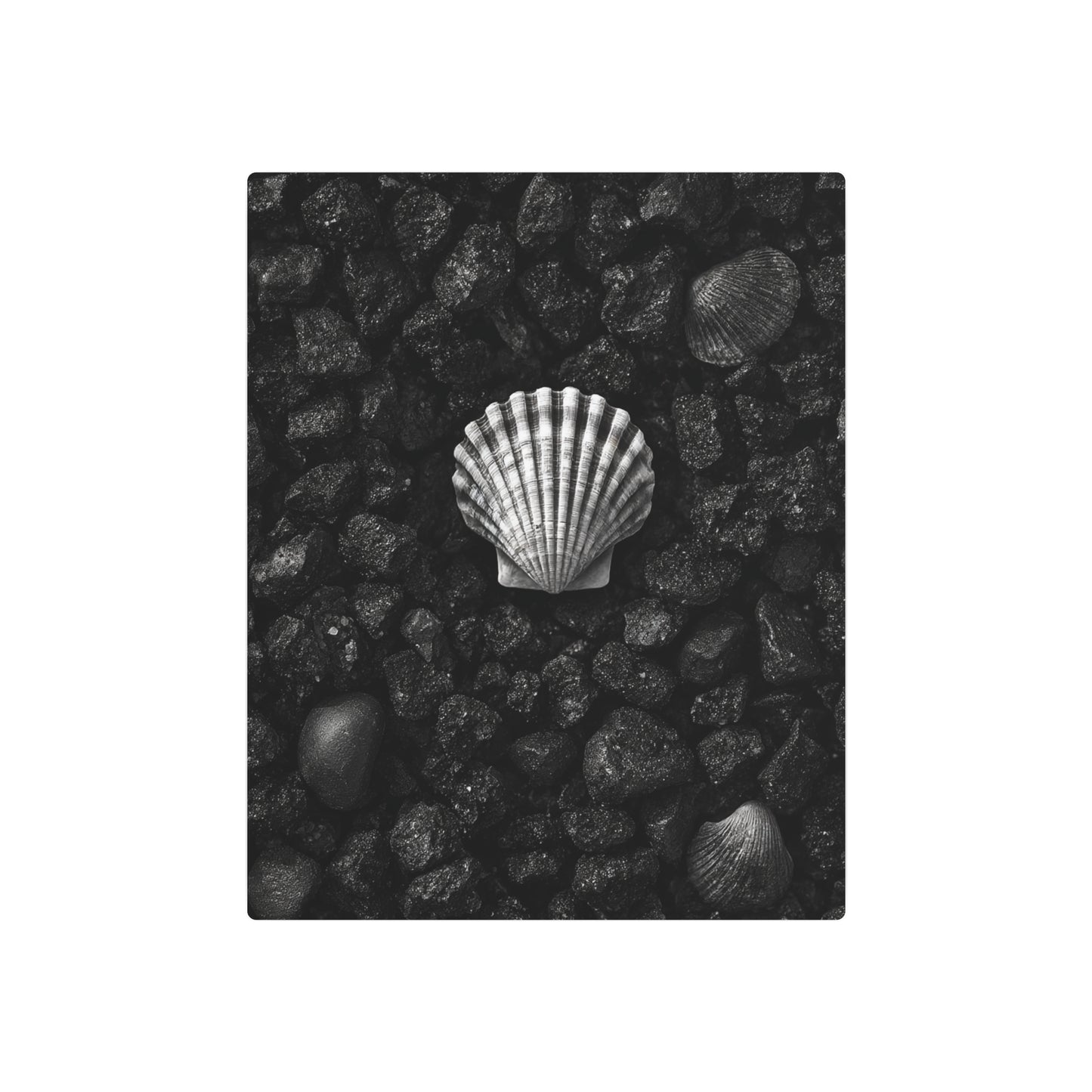 Black Metal Seashell Wall Art – Minimalistic Beach-Themed Decor - Metal Wall Art Print