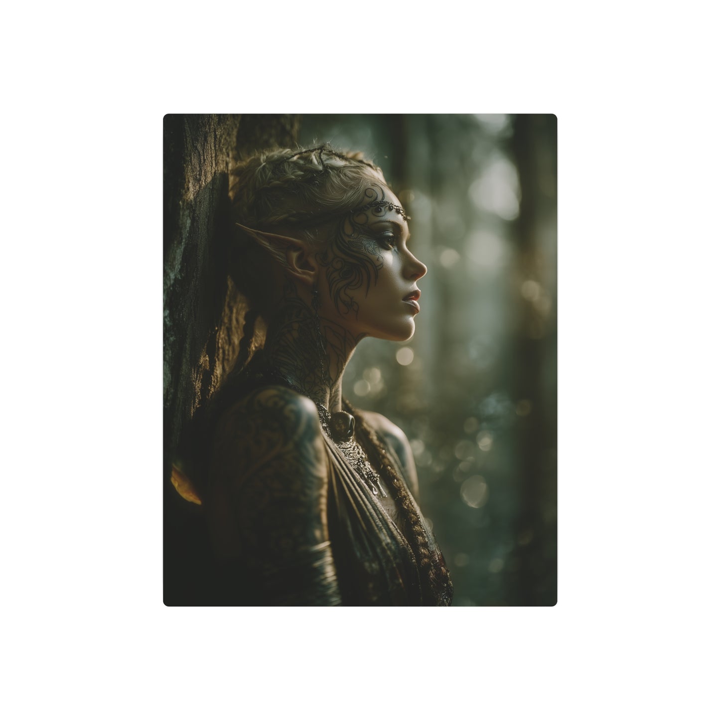 Majestic Elf on Location Metal Wall Art Sign for Fantasy Art Fans - Metal Wall Art Print