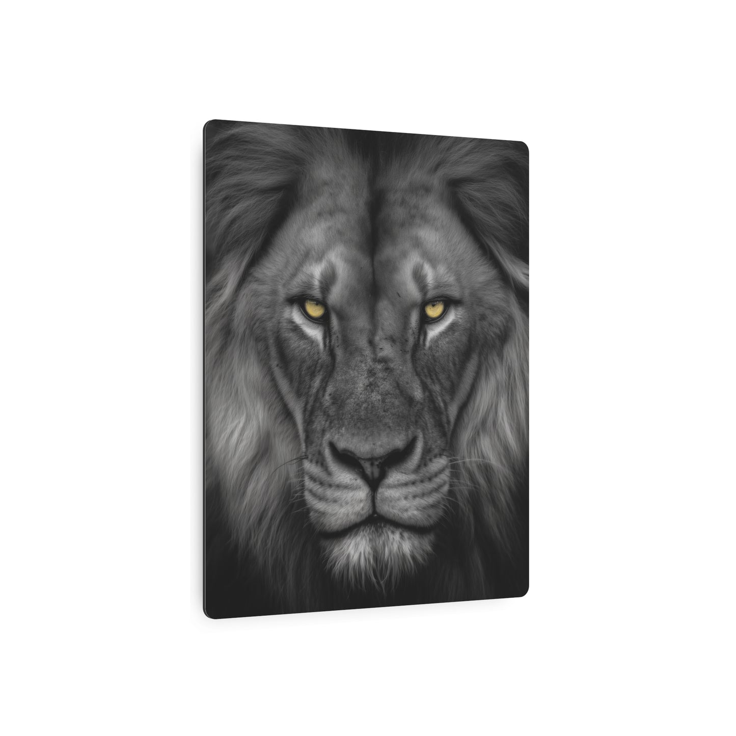 Stunning Hyper-Realistic Yellow-Eyed Cat Metal Wall Art in Black & White