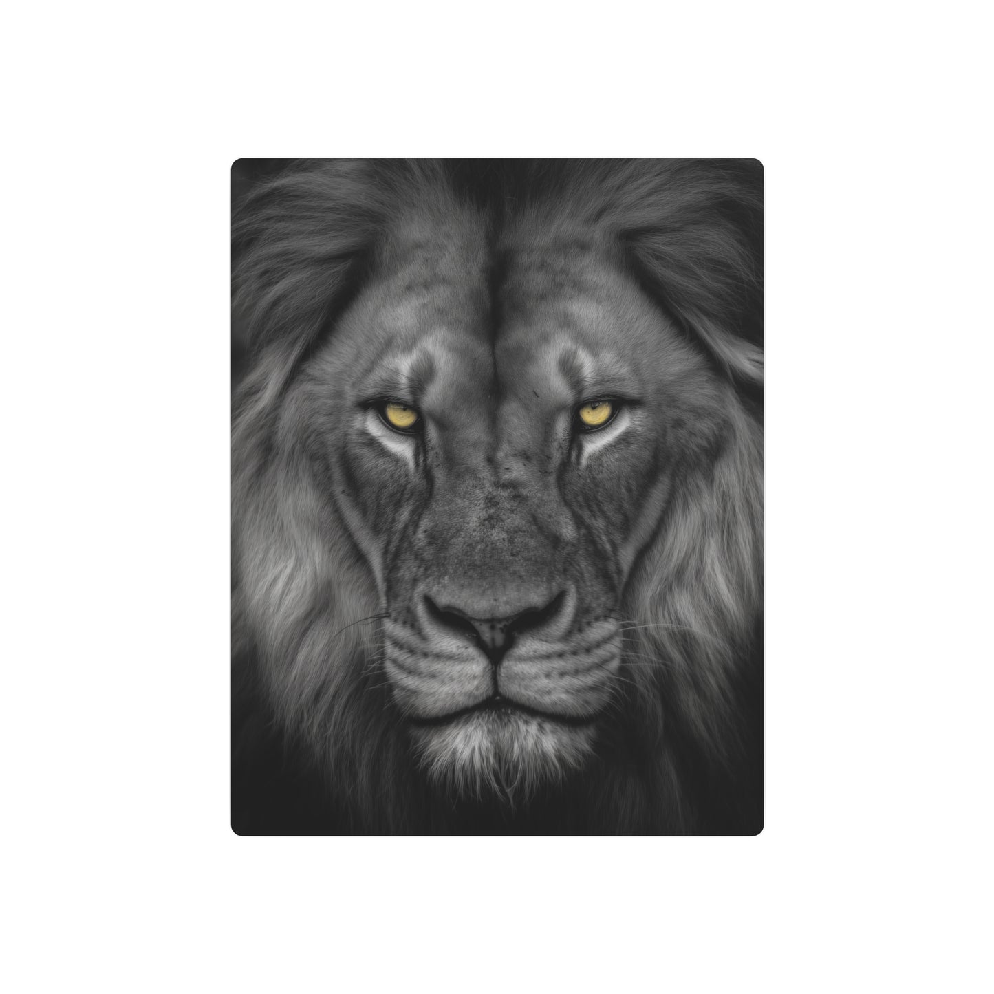 Stunning Hyper-Realistic Yellow-Eyed Cat Metal Wall Art in Black & White - Metal Wall Art Print