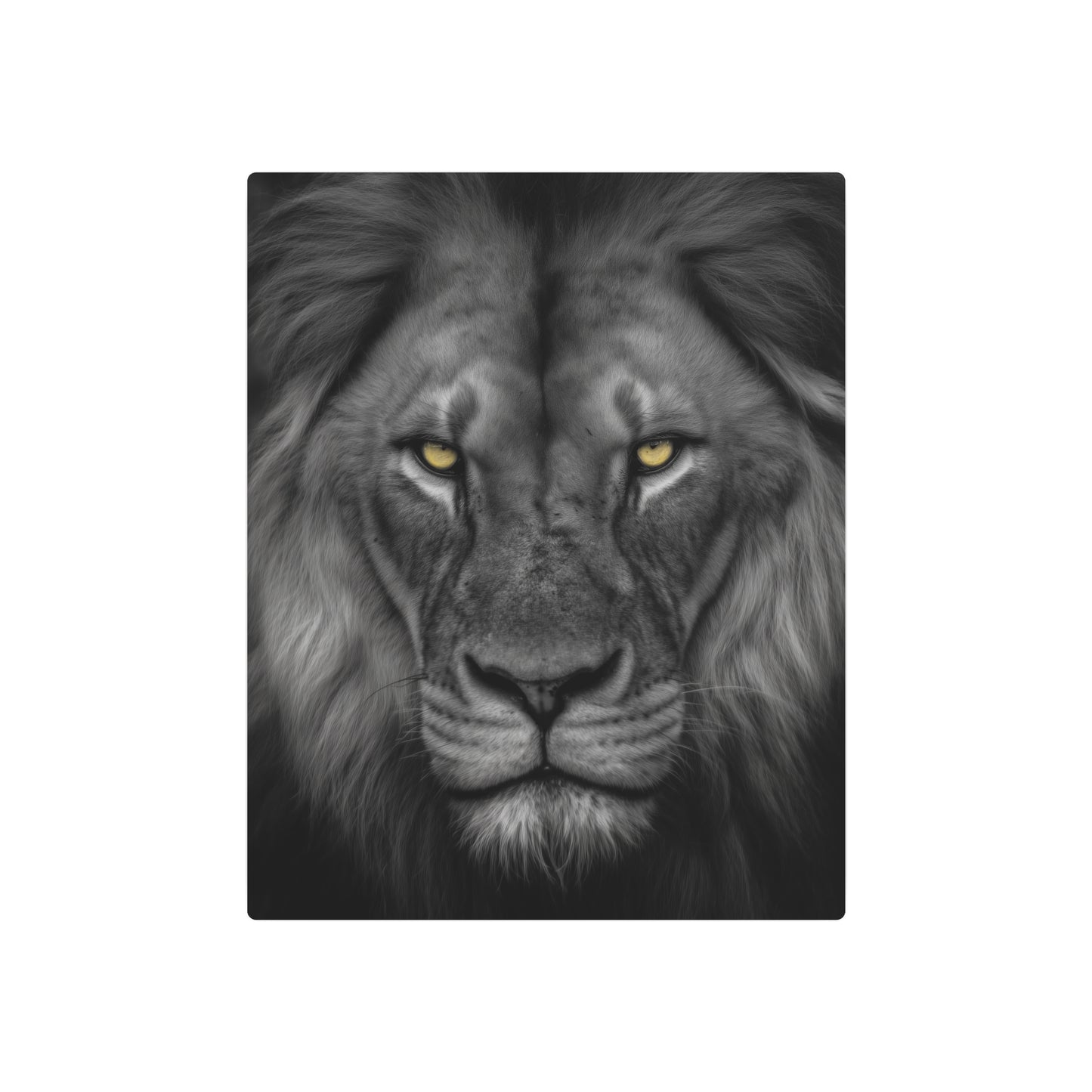 Stunning Hyper-Realistic Yellow-Eyed Cat Metal Wall Art in Black & White