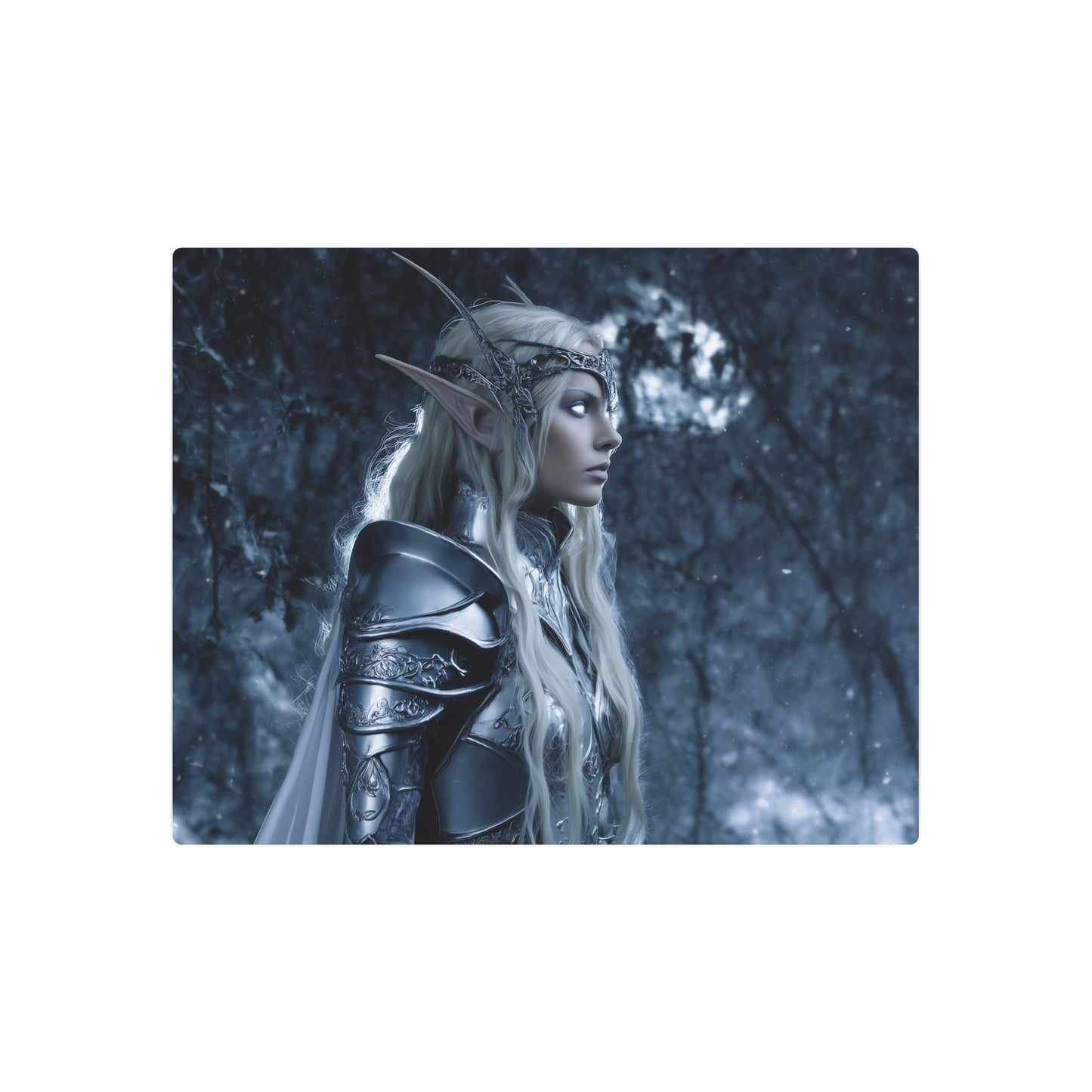 Mystical Elf Queen Metal Wall Art in Shimmering Silver Armor Decor - Metal Wall Art Print