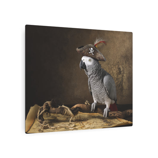 African Grey Parrot Vintage Pirate Themed Metal Wall Art for Exotic Decor - Metal Wall Art Print