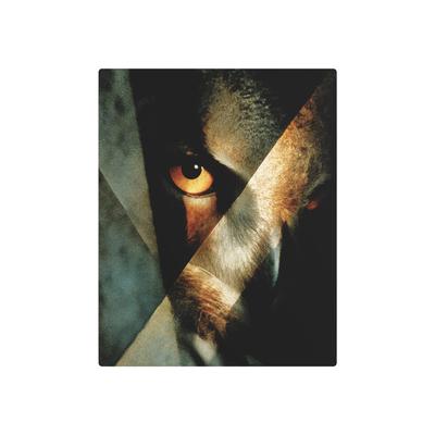 Meet the Kazimir Malevich Style Wildlife Abstract Metal Wall Art Sign