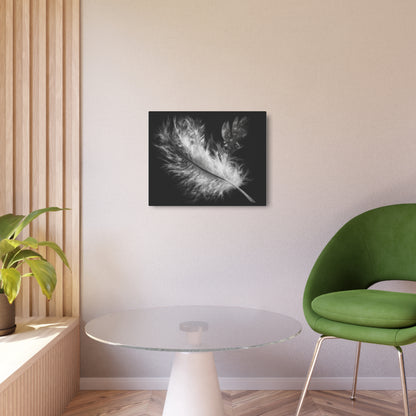Modern Black Feather Metallic Wall Art - Minimalist Home Decor & Fine