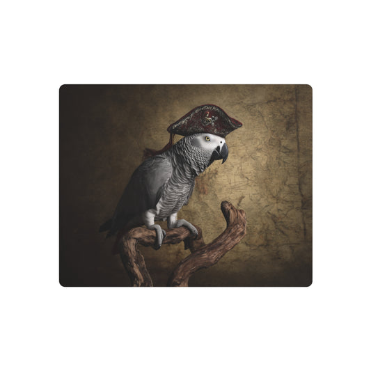 African Grey Parrot Metal Wall Art | Exotic Pirate Bird Perched on stick. Vintage Style - Metal Wall Art Print