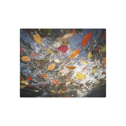 Elegant Autumn Leaves Metal Wall Art - Agfacolor Neu Theme Décor - Metal Wall Art Print