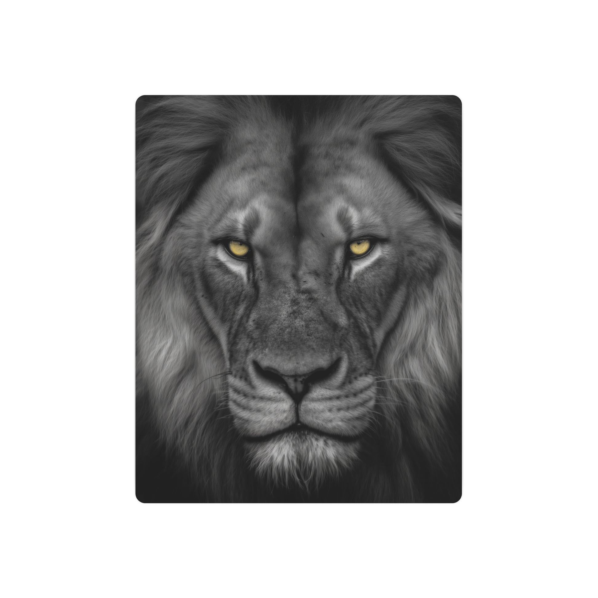 Stunning Hyper-Realistic Yellow-Eyed Cat Metal Wall Art in Black & White - Metal Wall Art Print