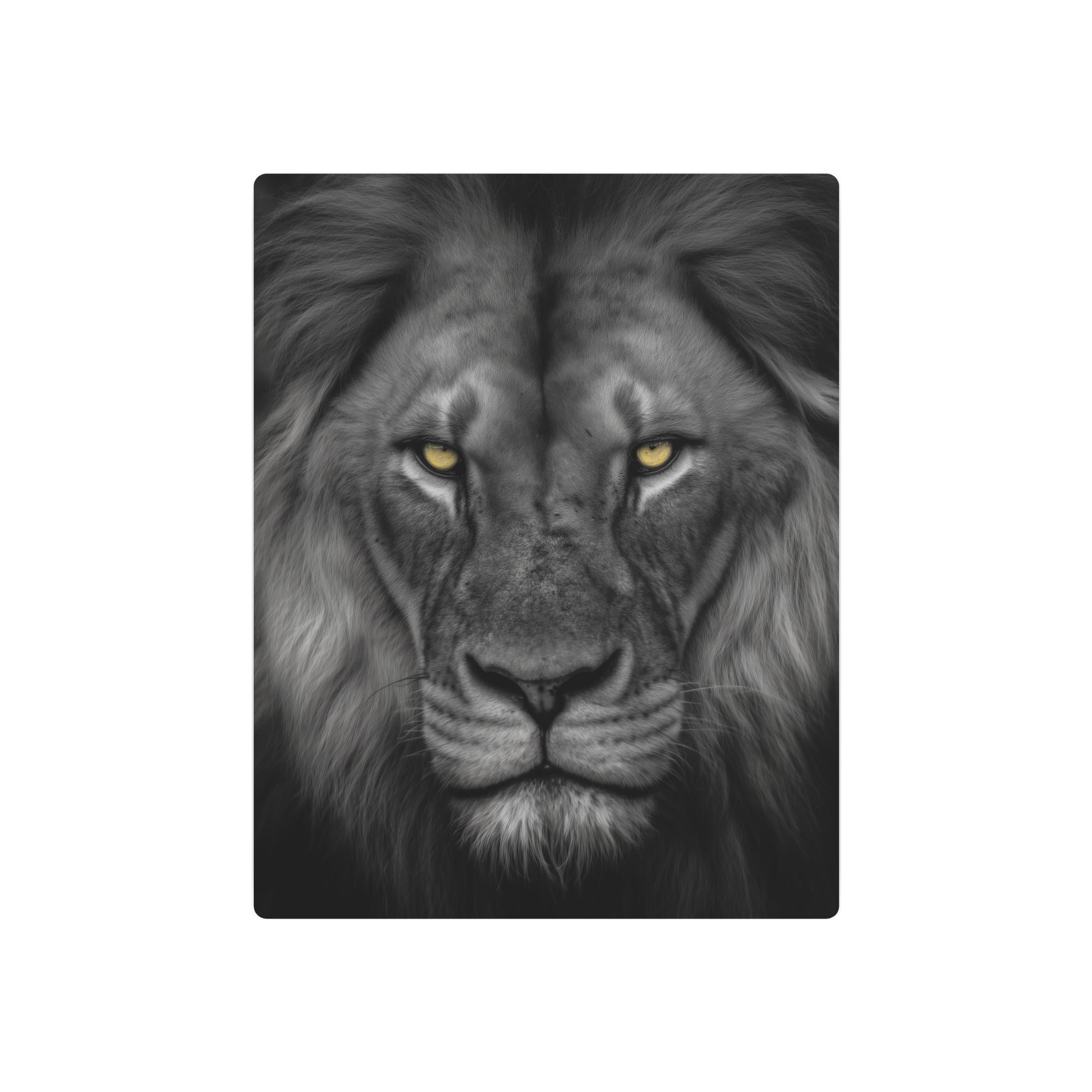 Stunning Hyper-Realistic Yellow-Eyed Cat Metal Wall Art in Black & White - Metal Wall Art Print