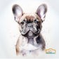 Whimsical French Bulldog illustration for dog-themed gifts