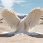 23 Enchanted Desert Wings - Ethereal Angelic Wing Backdrops in the Desert