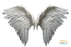 15 Enchanted Celestial Wings - Transparent Wing Overlays - Easy to Use