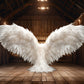 24 Enchanted Celestial Wings - Ethereal Angelic Backgrounds, Digital Studio Backdrops