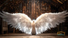 24 Enchanted Celestial Wings - Ethereal Angelic Backgrounds, Digital Studio Backdrops