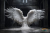 Celestial Wing Overlays - Ethereal Wings on Abandoned Buildings Pack (17 backdrops)