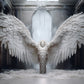 24 Enchanted Celestial Wings - Ethereal Angelic Backgrounds, Digital Studio Backdrops