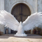 24 Enchanted Celestial Wings - Ethereal Angelic Backgrounds, Digital Studio Backdrops