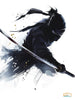 Ninja Poster Collection | Immerse Your Space in Stealth and Style