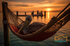 A Mesmerizing Photograph of a Pelican In A Hammock