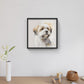 Jack Russell cross Lhasa Apso water color picture