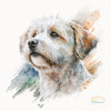 Water color of a Jack Russell cross Lhasa Apso white dog