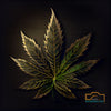 Marijuana leaf highly detailed solid color background