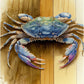 Watercolor Blue Crab on Wood Planks V2 - Wall Art
