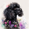 A beautiful watercolor painting of a black poodle - Wall Art